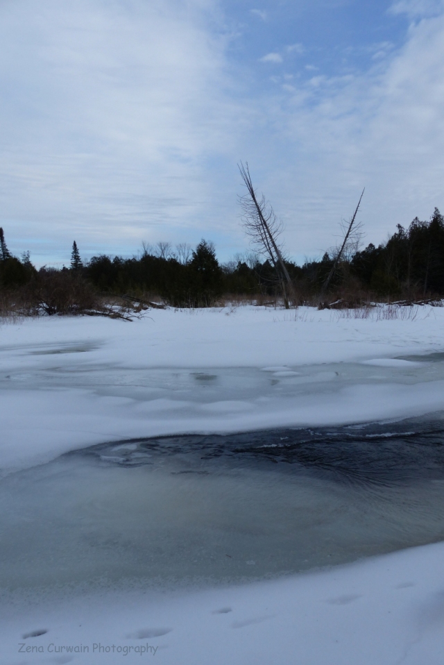 In View | Winterscape